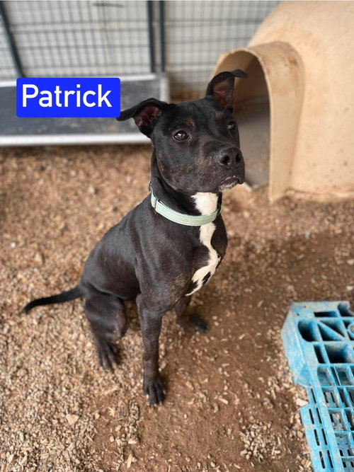 Patrick Aka Lincoln photo 3