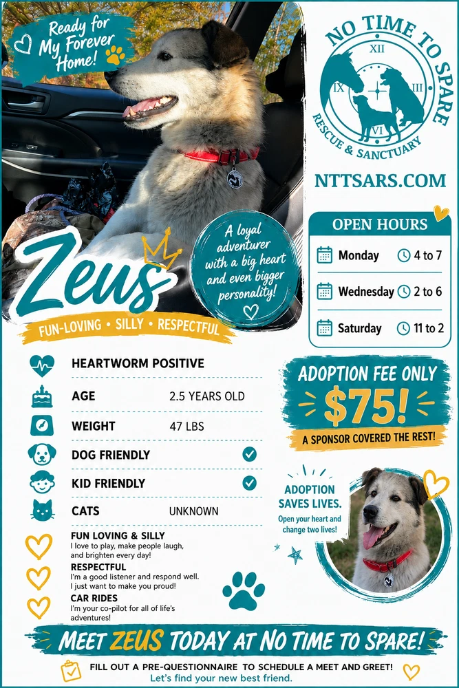 Zeus