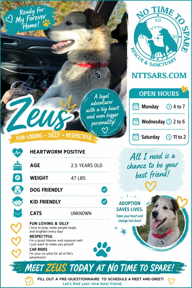 Zeus image 2