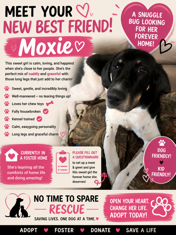 Moxie