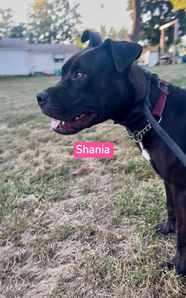 Shania, photo 4
