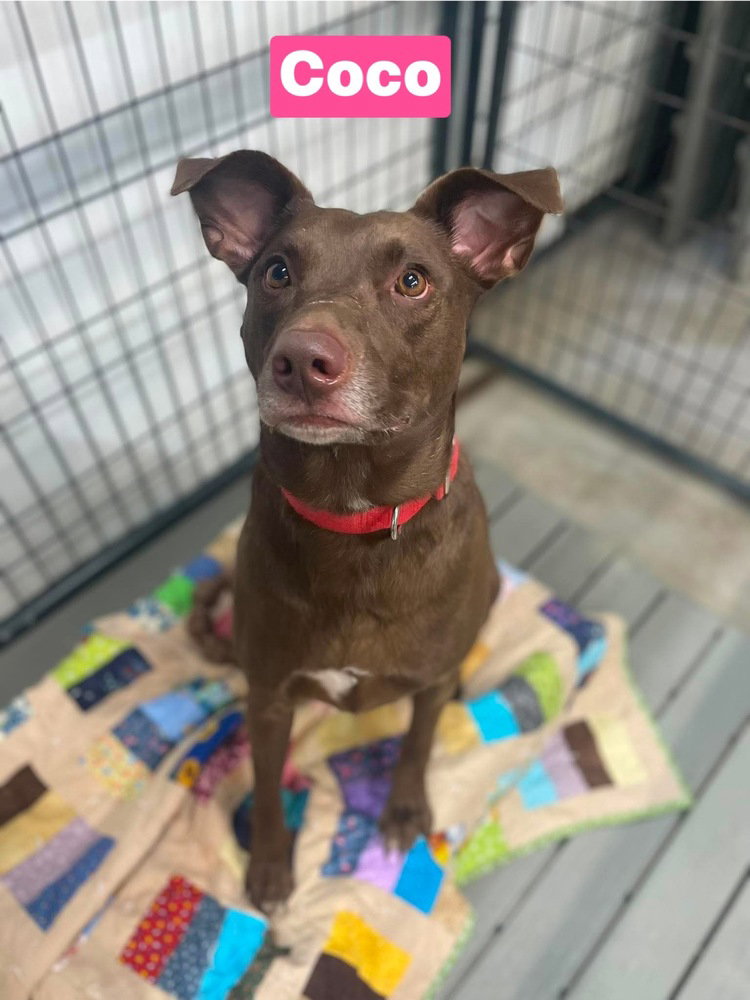 Coco