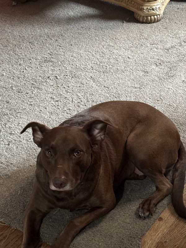 Coco