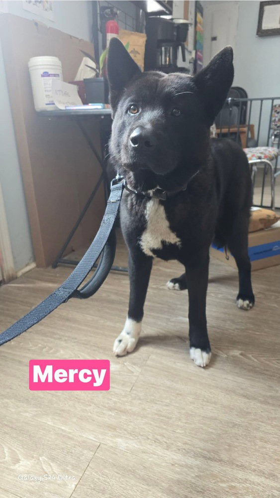 Mercy
