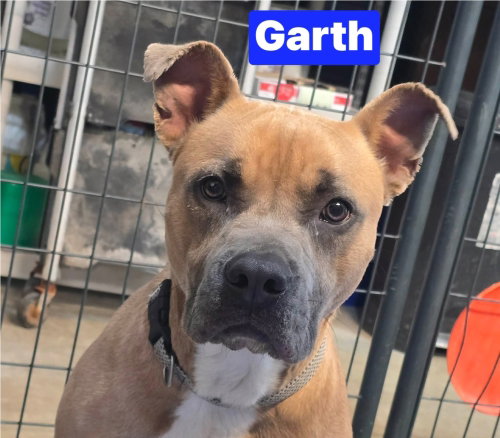 Garth