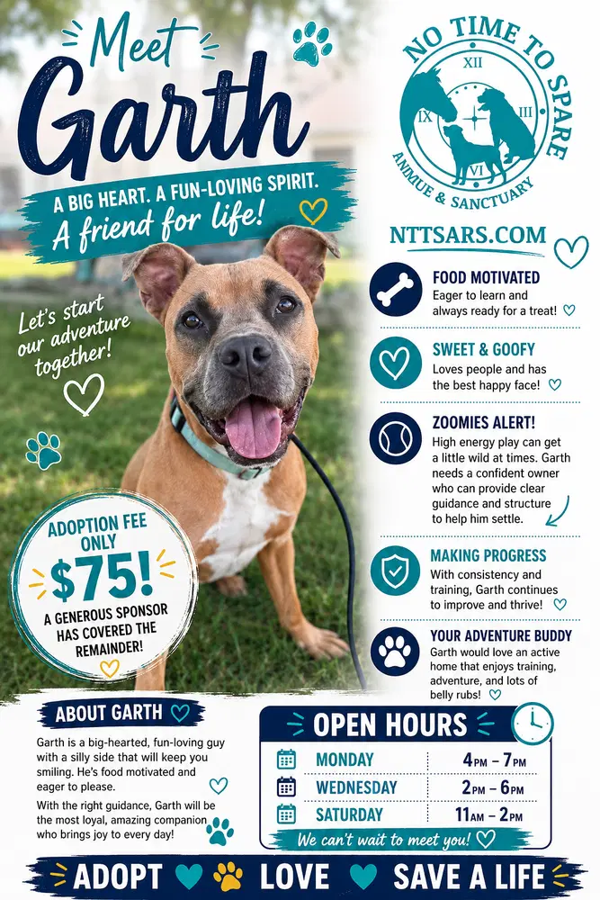 Garth - Pit Bull Terrier