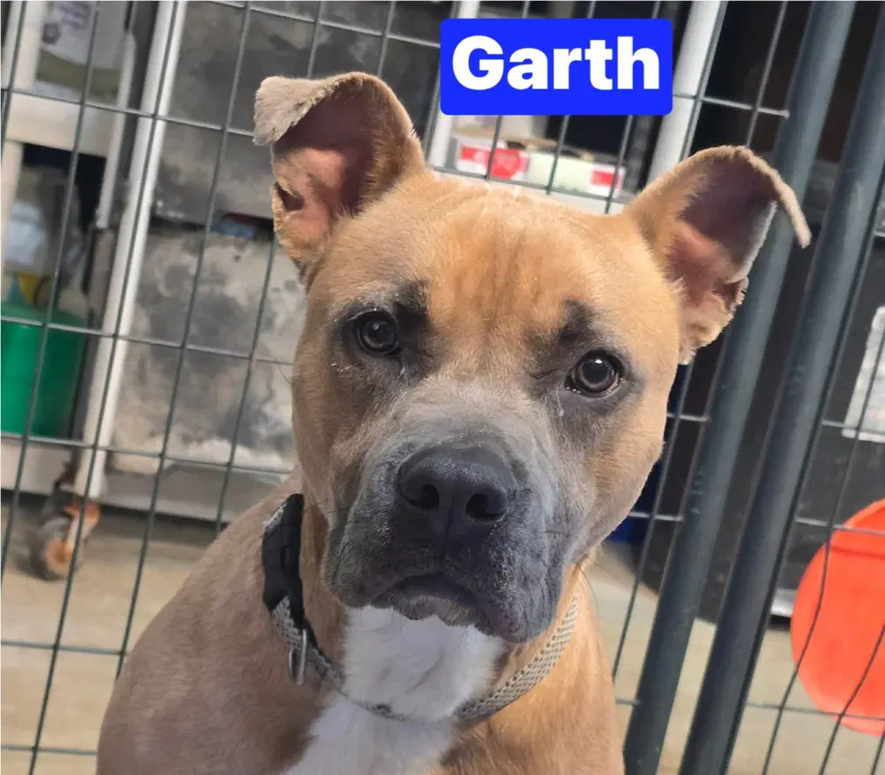 Garth image 3