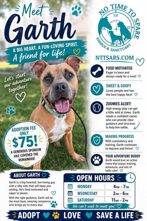 picture of the dog needing adoption