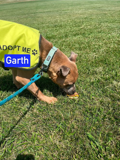 Photo 2 of Garth