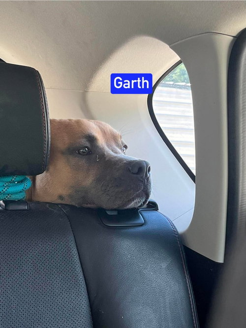 Photo 3 of Garth