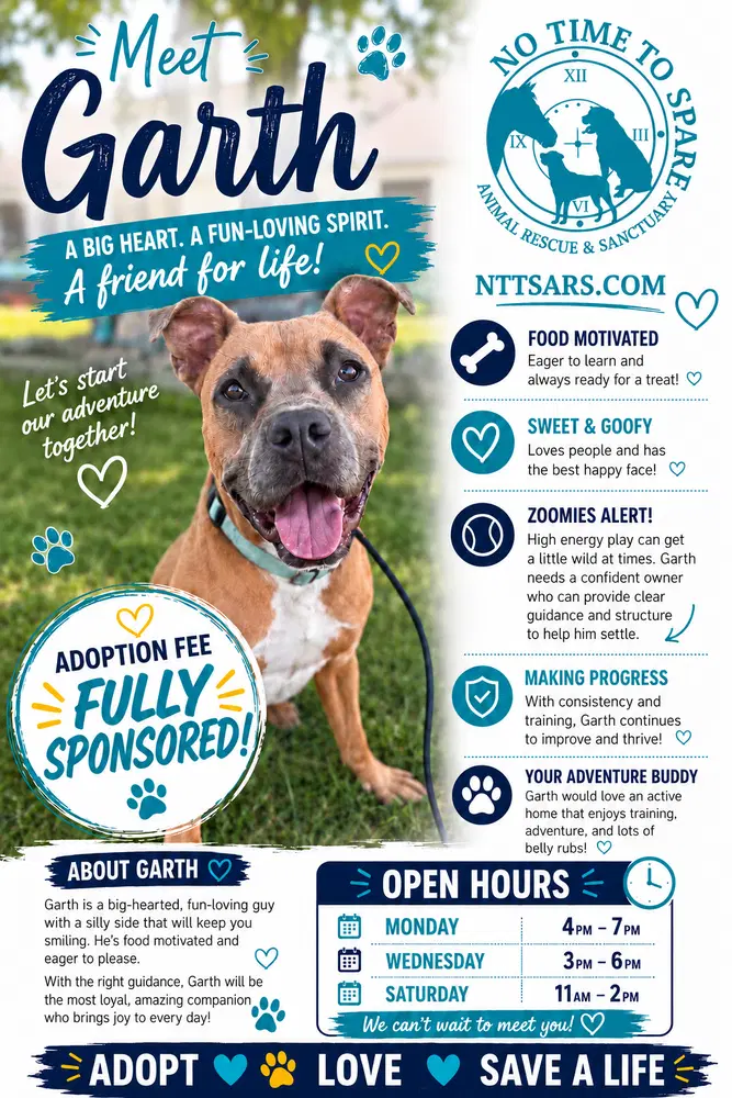 Garth - Pit Bull Terrier