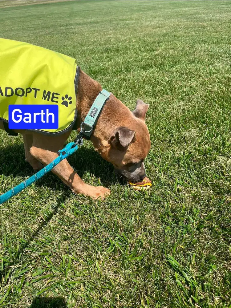 Garth image 2