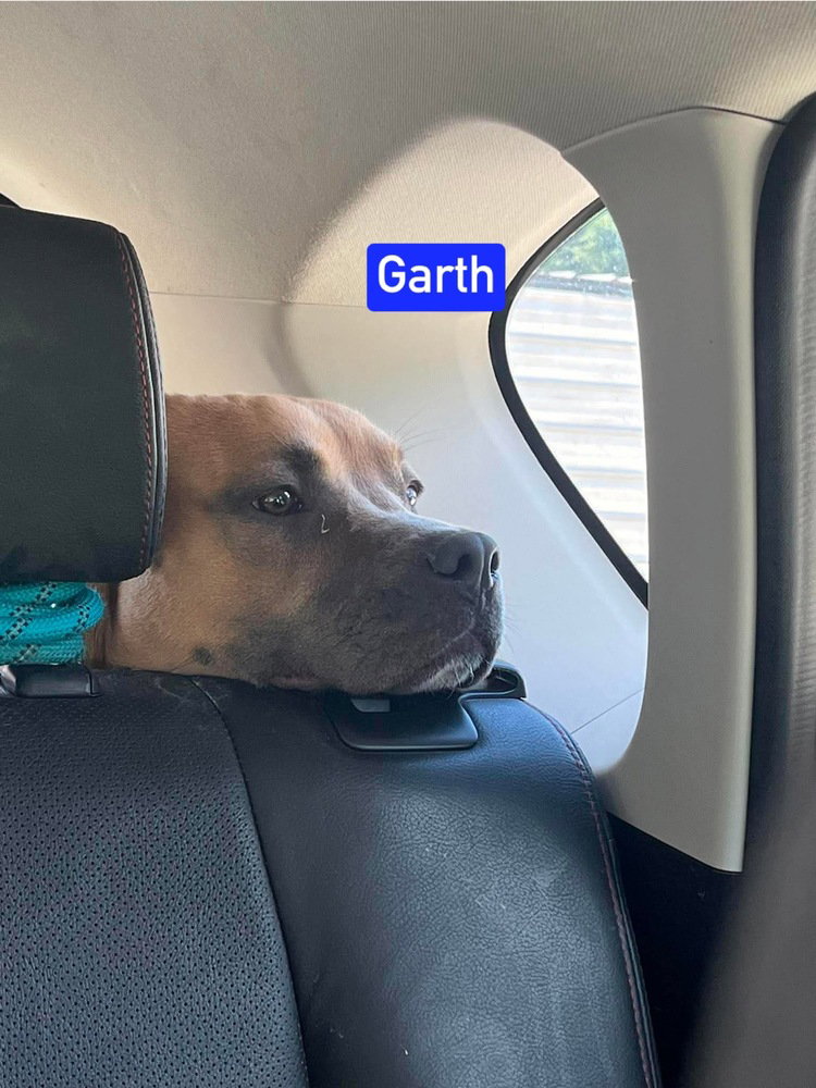 Garth, photo 3