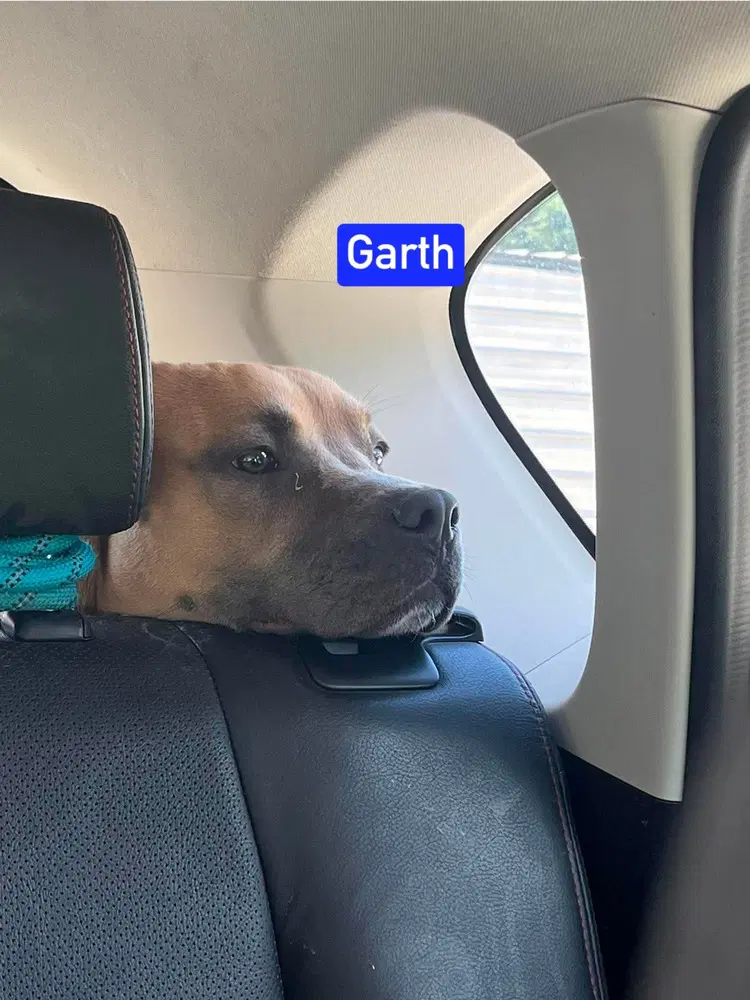 Garth image 3