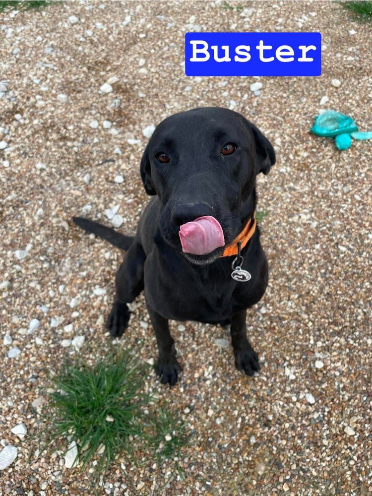 Buster