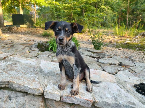 Lil Ryder aka Lola