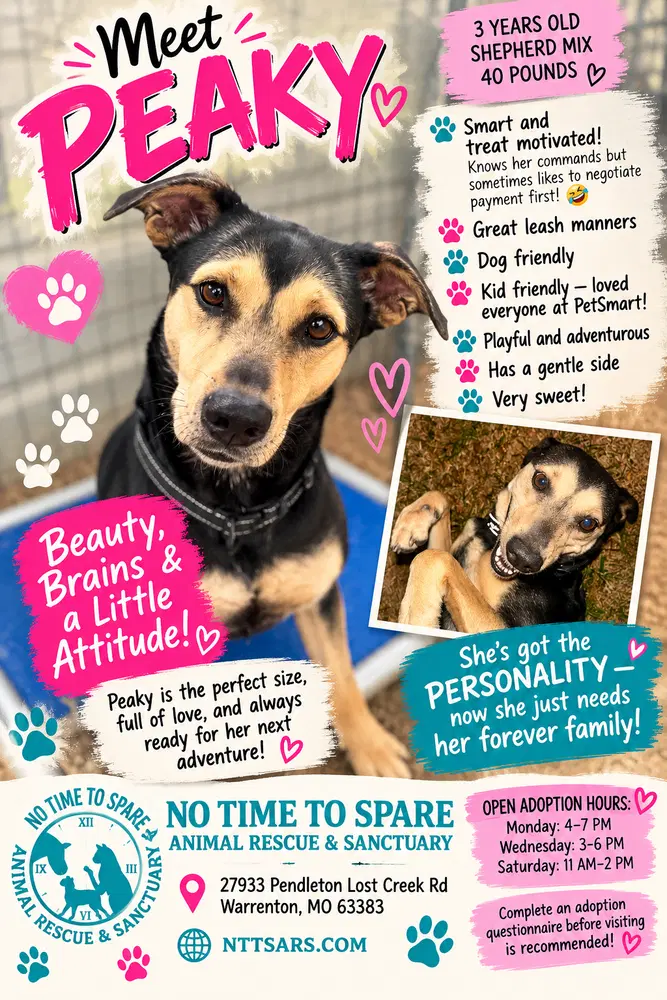 Peaky - Shepherd
