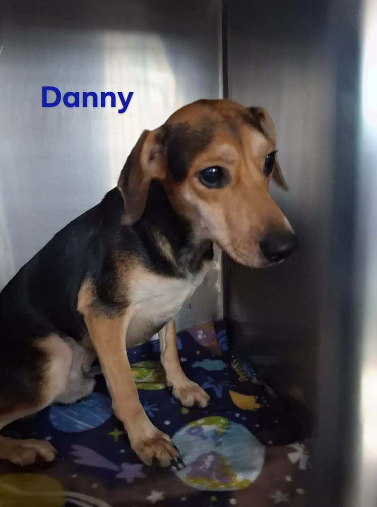 Sf Danny