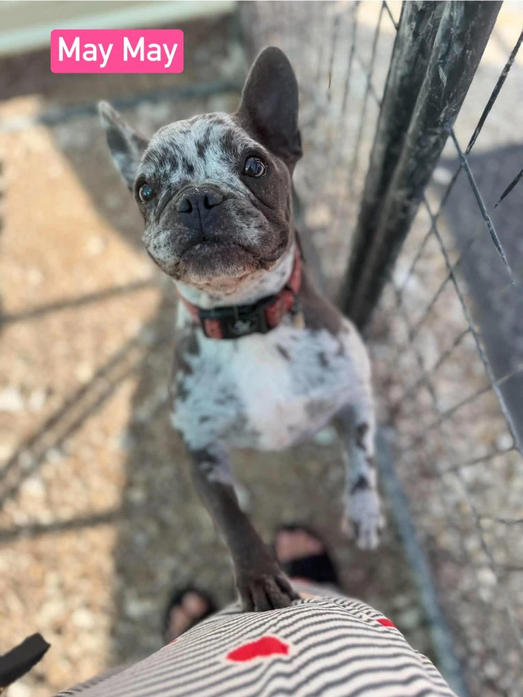 May May Aka Ellie Mae