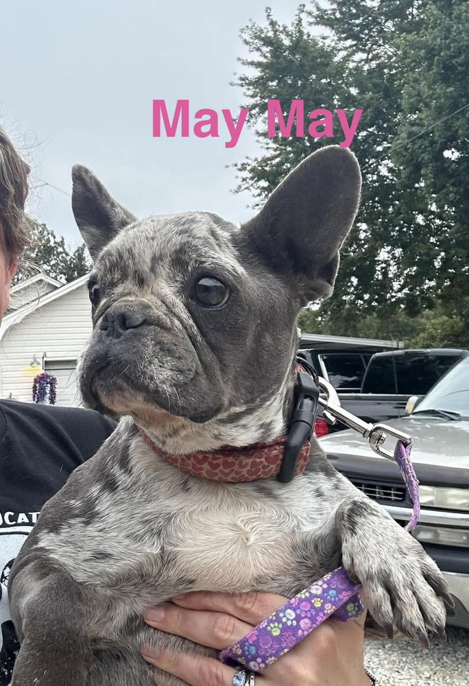 May May aka Ellie Mae, photo 2