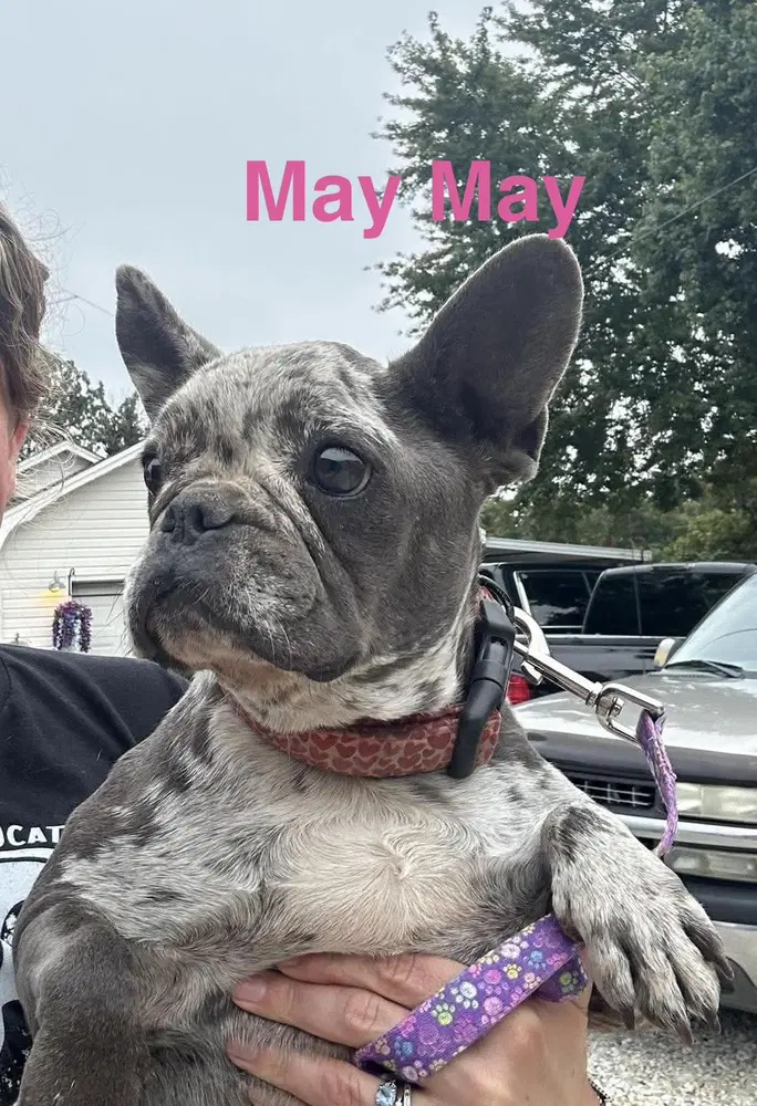 May May Aka Ellie Mae image 2