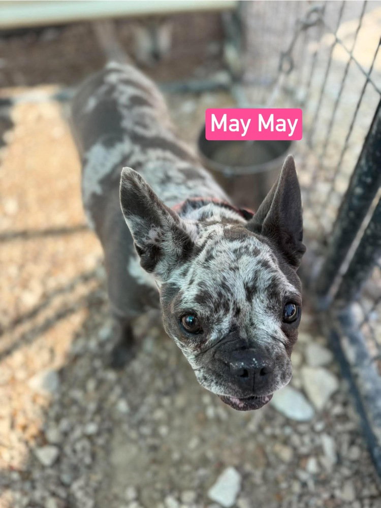 May May aka Ellie Mae, photo 3