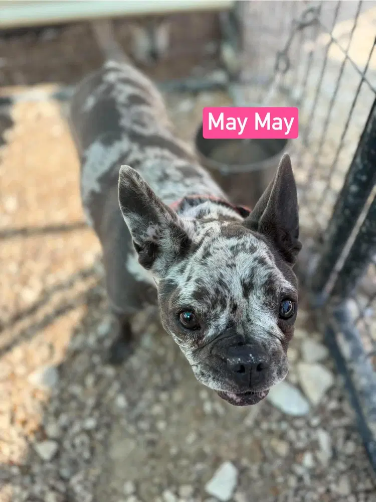 May May Aka Ellie Mae image 3