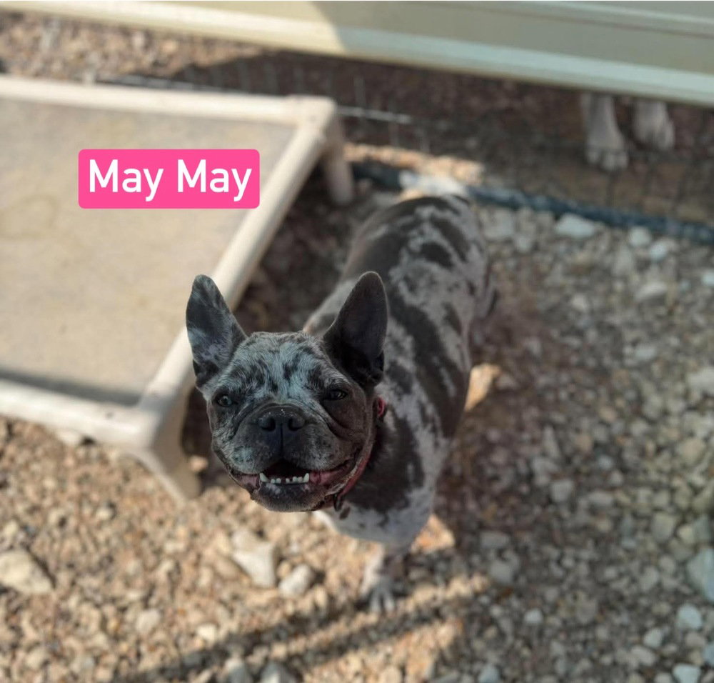 May May aka Ellie Mae, photo 4