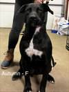 Autumn 26 - Photo 11