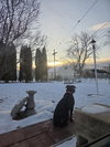 Autumn 26 - Photo 4