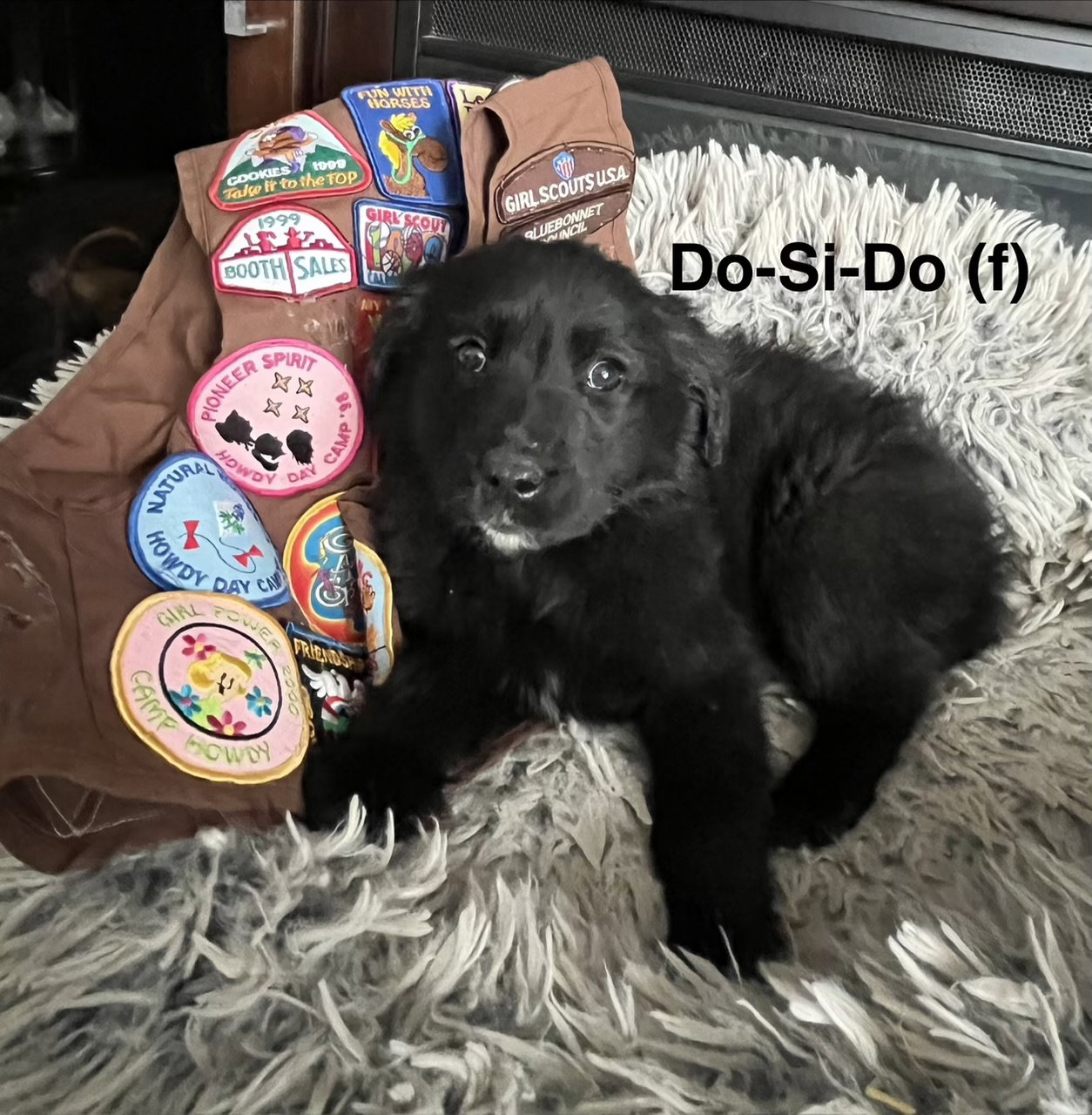 Do-Si-Do