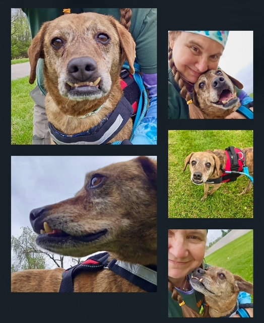 Luke - Arriving Saturday!