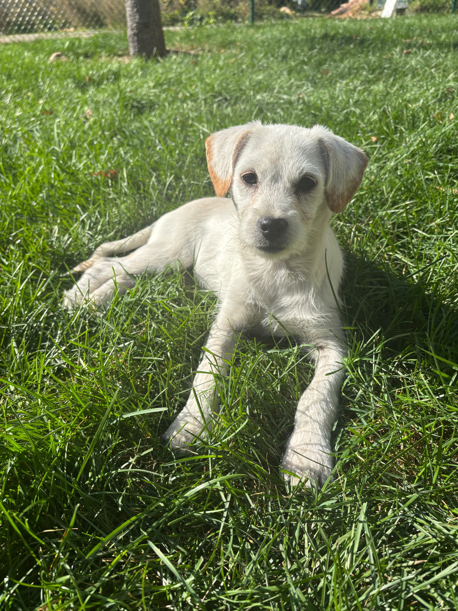 Margaret, photo 2