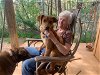 adoptable Dog in murphy, NC named Rusty
