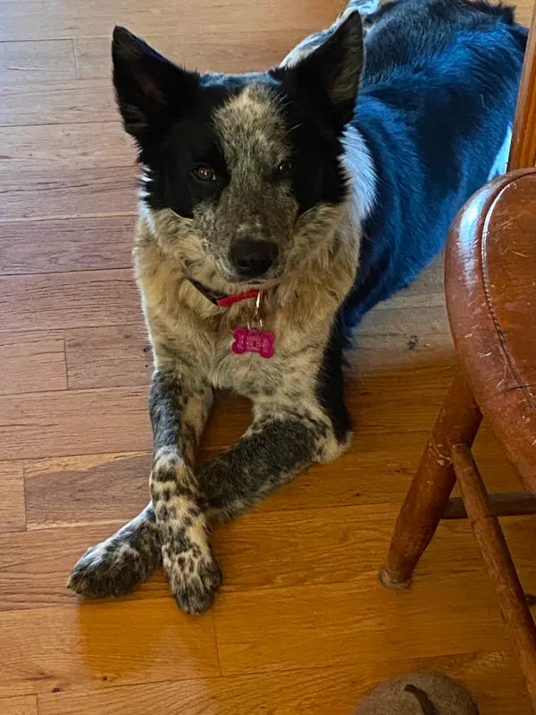 Zoe image 1