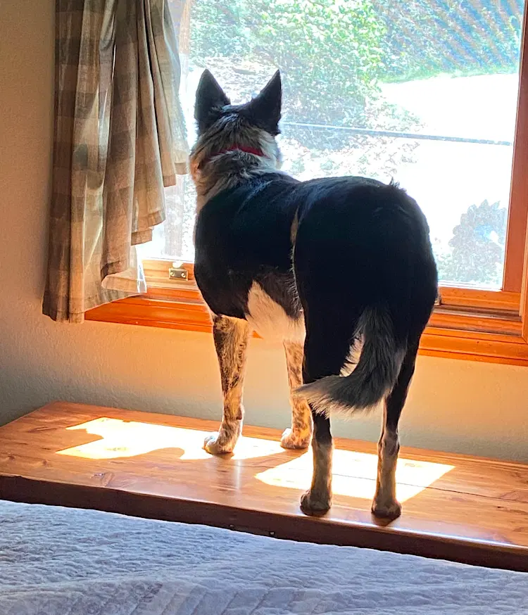 Zoe image 2