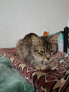 Luca - Photo 2