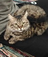 LiLi - Photo 1