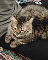 LiLi - Photo 2