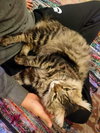 LiLi - Photo 3