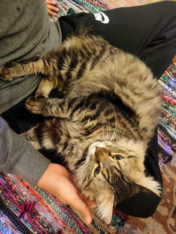 LiLi