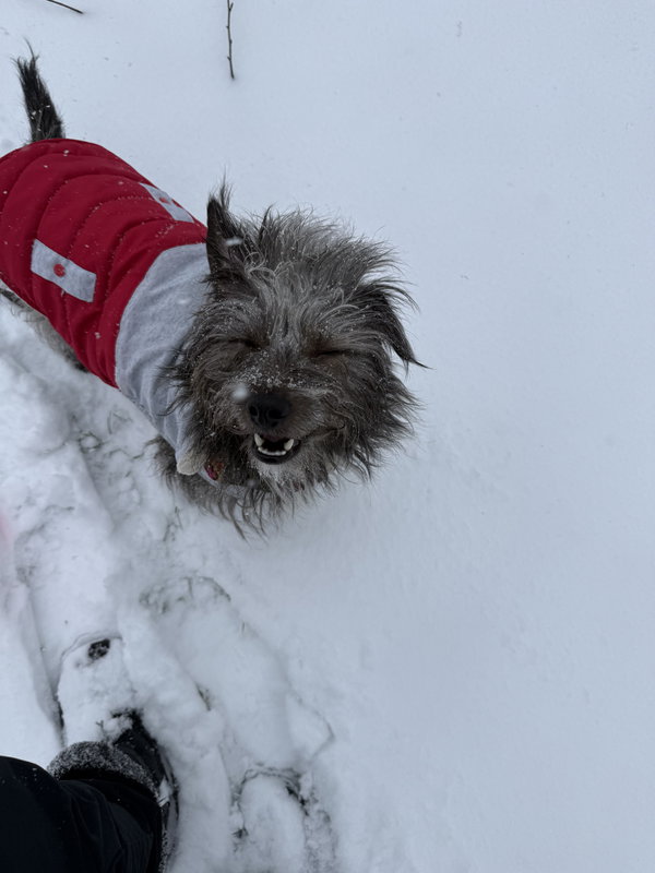 Fritz
