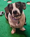 Cally *COOLEST LOOKIN' GIRL ON THE BLOCK* - Photo 1