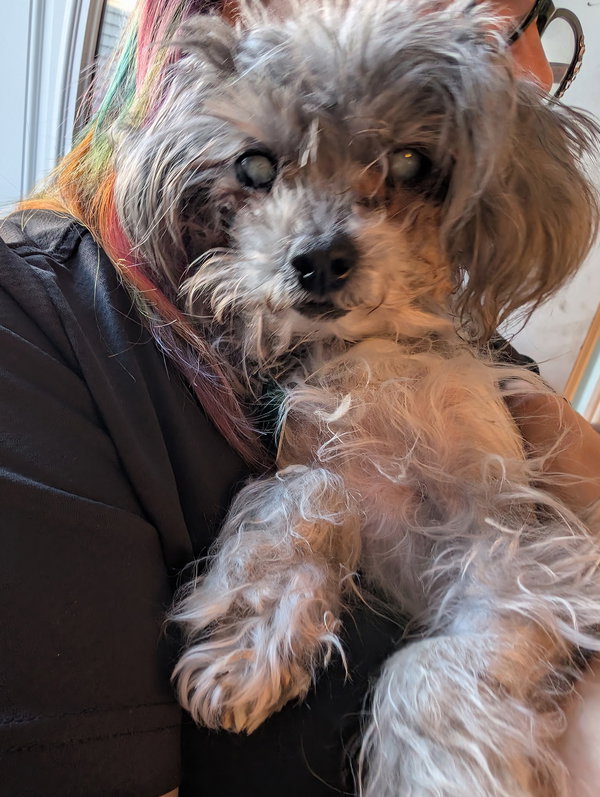 Dottie May *HOSPICE*