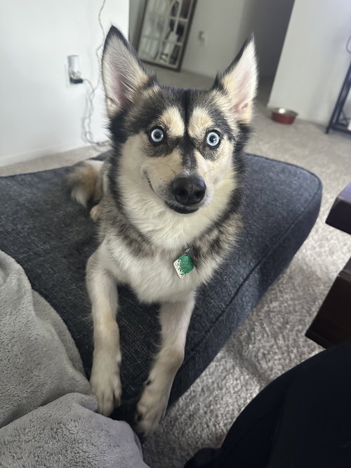 Nova photo 2