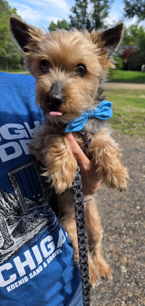 Oliver, photo 3