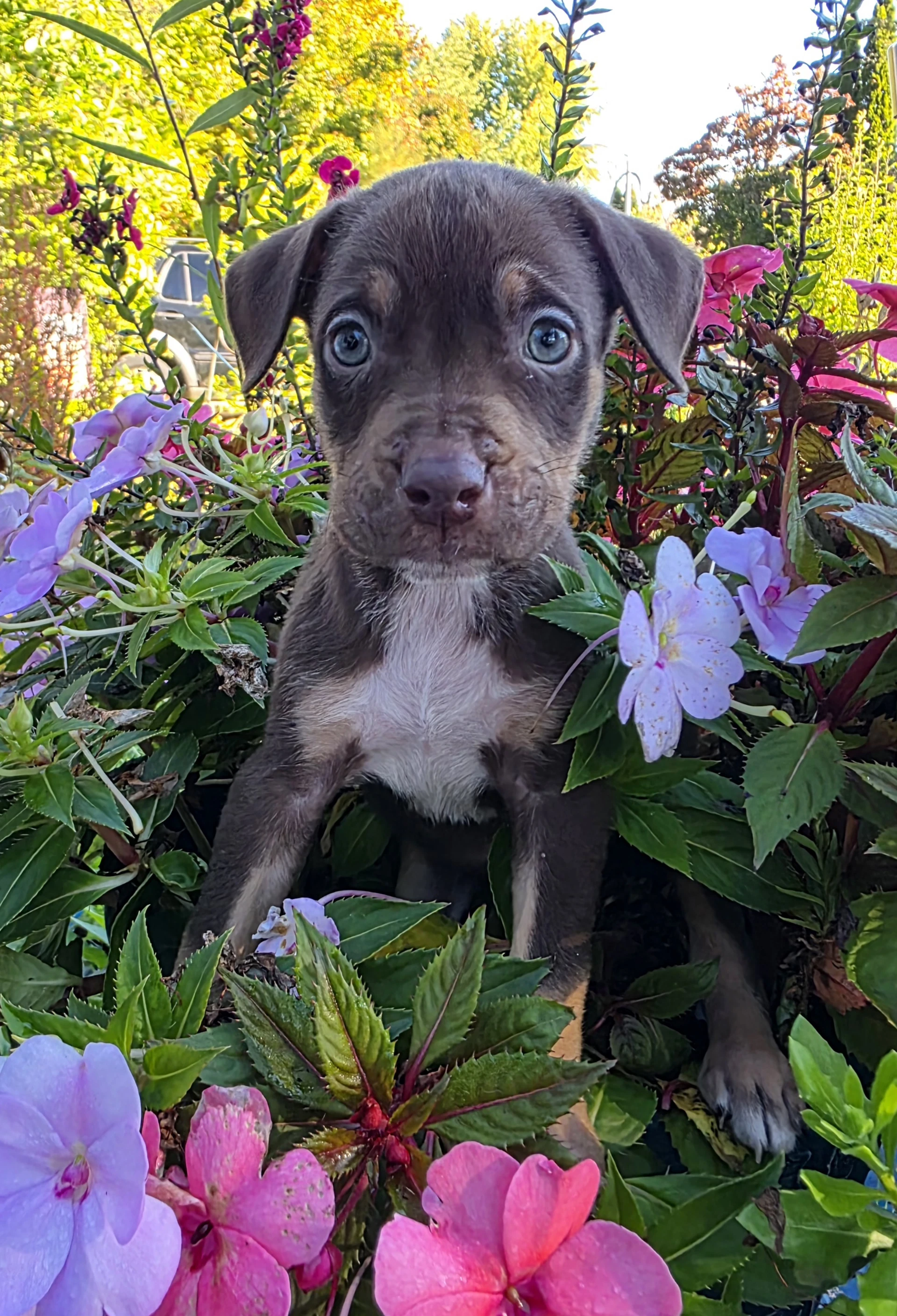 Danny