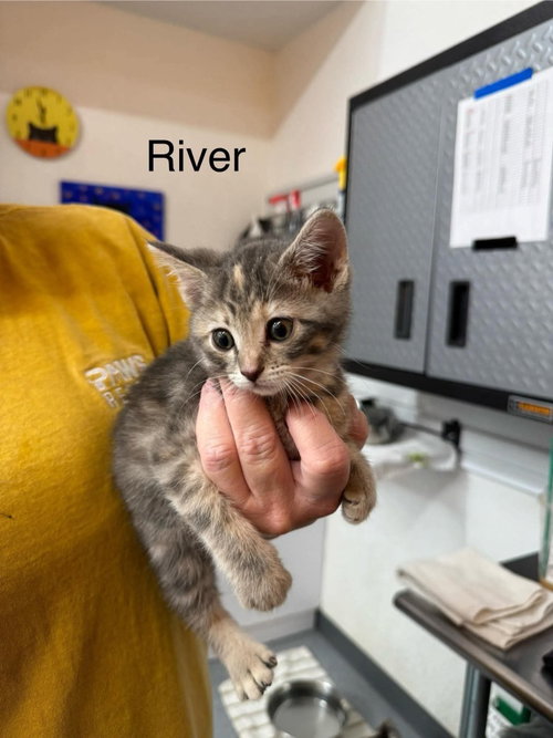 River