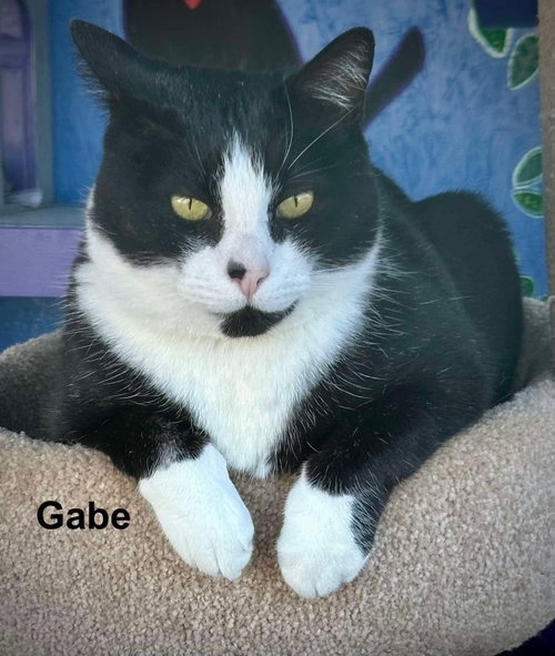 Gabe