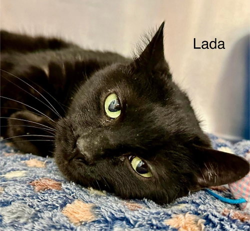 Lada